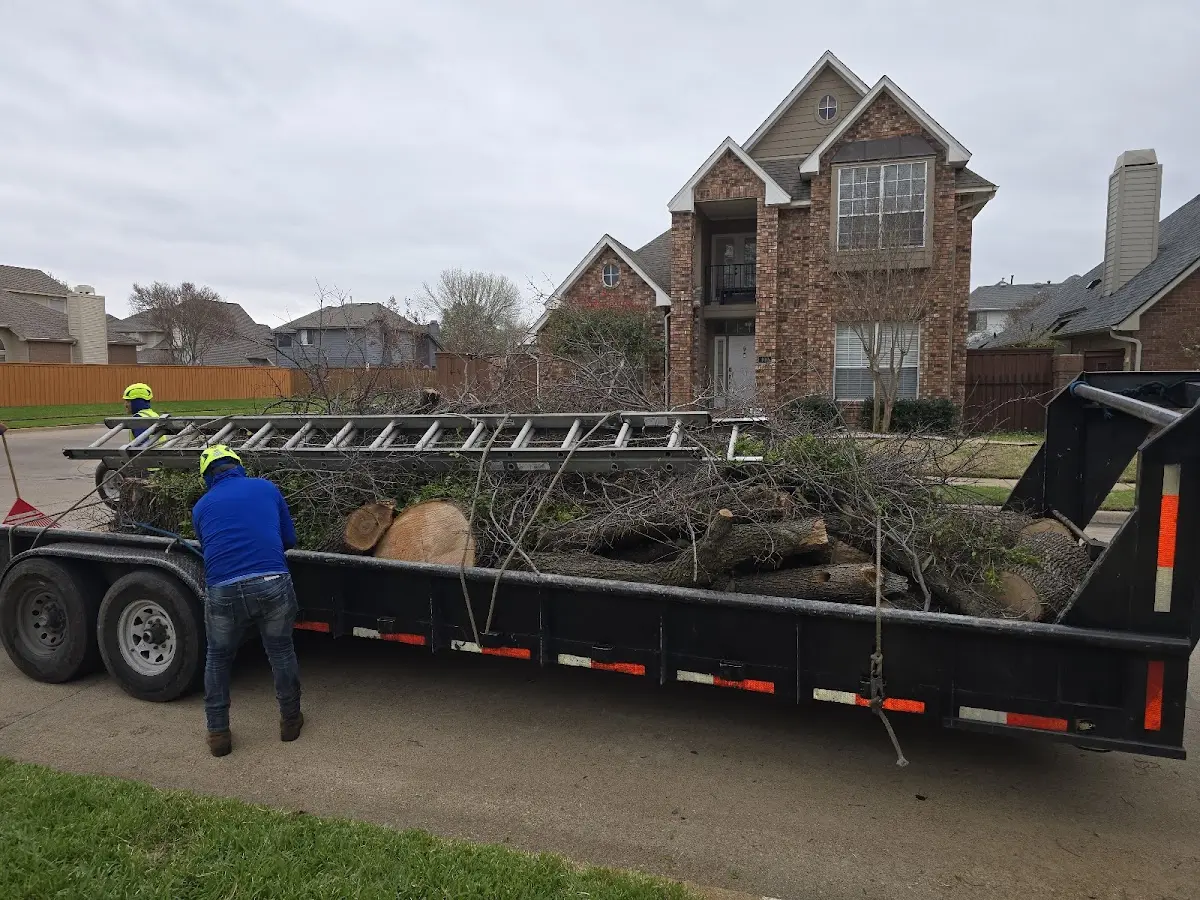 Expert Lot Clearing with proper safety equipment in Jerseyville